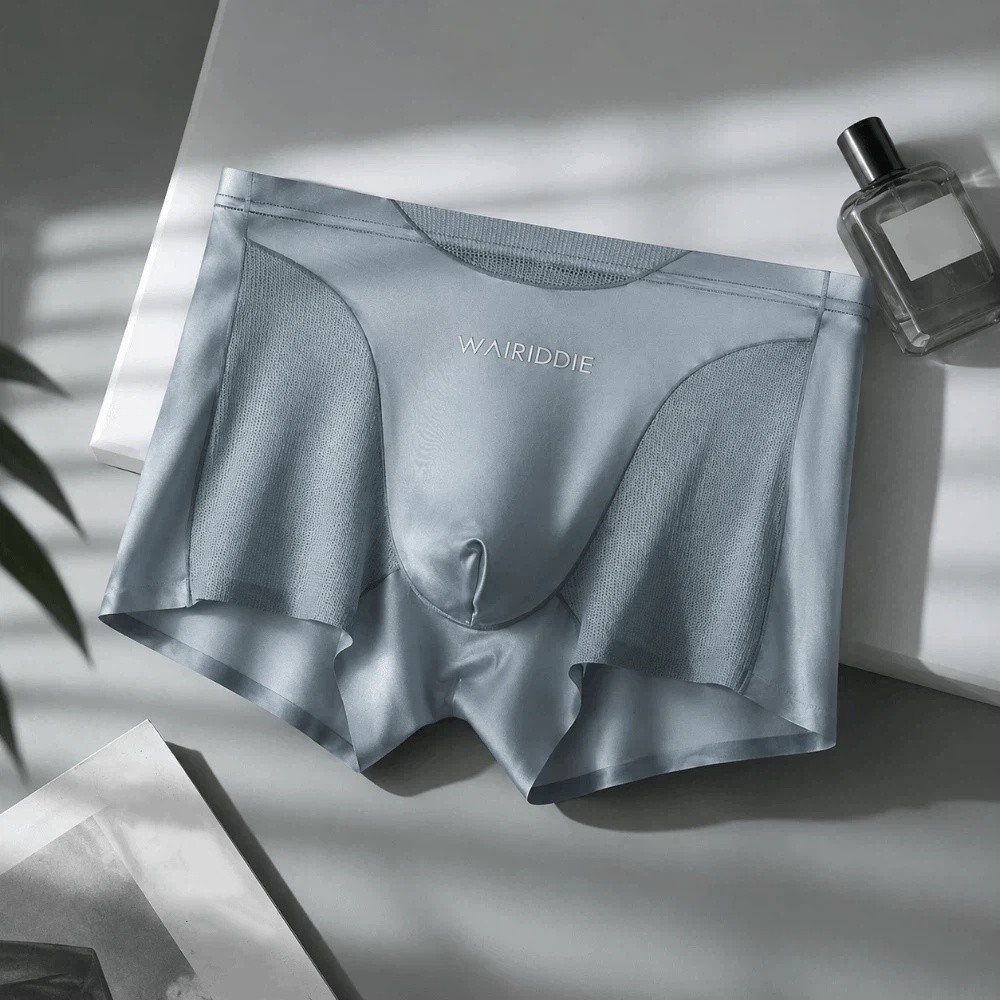 심플 메쉬 아이스 실크 속옷 심리스 미드웨이스트 쿨 팬 - Mesh Sport Boxer 리뷰 및 가격